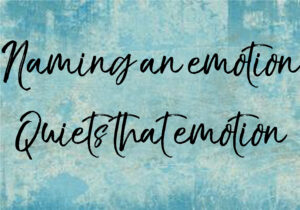 Read more about the article Naming an Emotion Quiets that Emotion